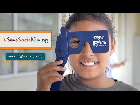 Seva Social Giving - Visualiza