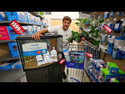 I Bought a NEW AQUARIUM for a SECRET FISH I’ve been Hiding…