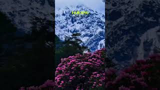 Download lagu well come to Tawang Arunachal Pradesh🙆🙆🙆 mp3