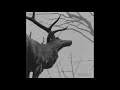 Agalloch - The Hawthorne Passage