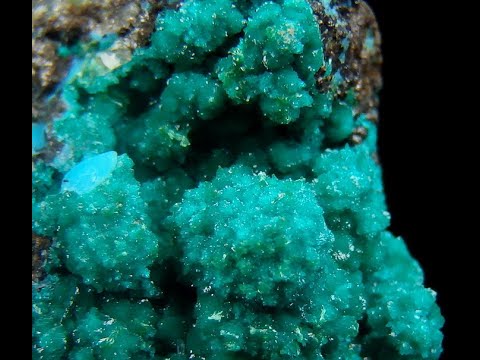 DIOPTAZ & MALACHIT - Chile, Atacama, Chañaral Prov., Cerro Negro Mine /Minerały & skamieniałości/