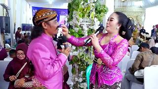 Download lagu MANIS - LEWUNG - SESIDEMAN - JOKO LULO | CAMPURSARI JELAS NADA COKEK MANIA SRAGENAN mp3