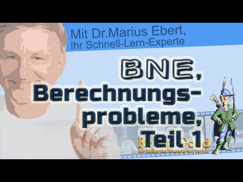 Bruttonationaleinkommen (BNE), Berechnungsprobleme ● Teil 1