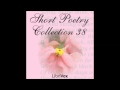 The Pasture by Robert Frost 