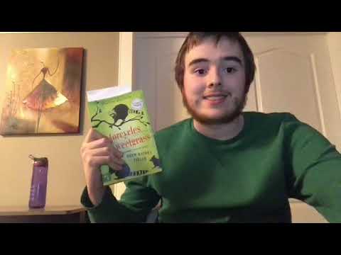 Video Novel Pitch (Motorcycles and Sweetgrass)