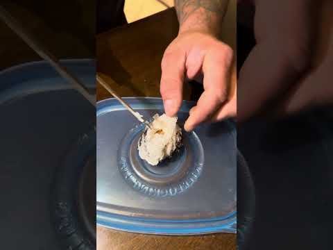 Tarantula egg sack cutting. #Dave’sLittleBeasties #dark den#VenomousSpiders #Tarantulas
