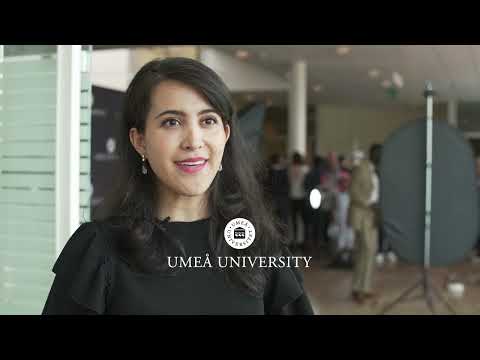 This is Umeå University – a student city