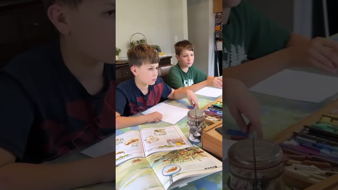 Tidal Pool Online Homeschool Art Lesson for Summer Fun!