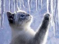 Snow Deck The Halls