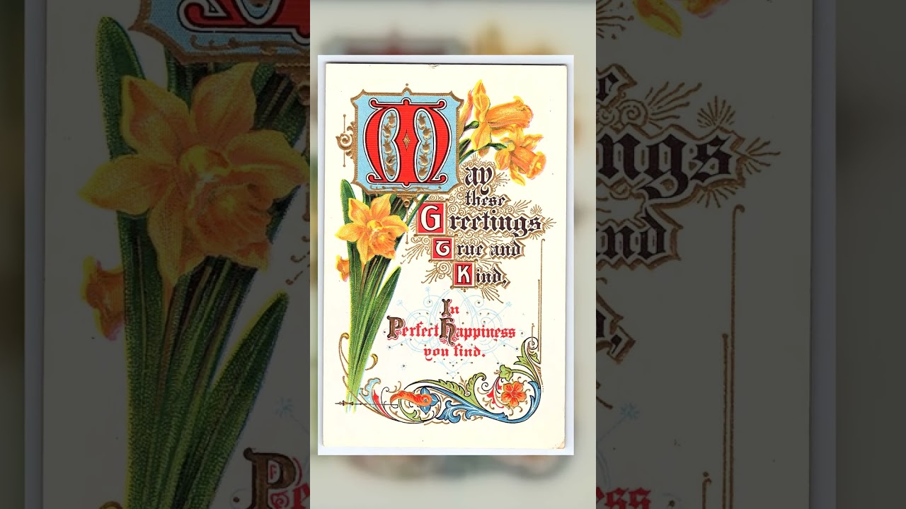 Motto Series No. 2, Divided Back Postcard, Daffodils, 1910 Postmark Video