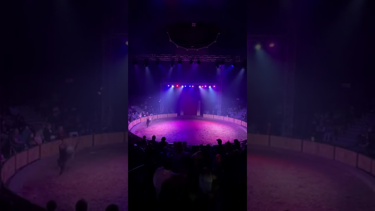 Promotional video thumbnail 1 for Chicago Circus by Mr. Spring