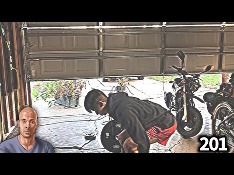 Fall Cut Day 22 - Back And Rear Delts