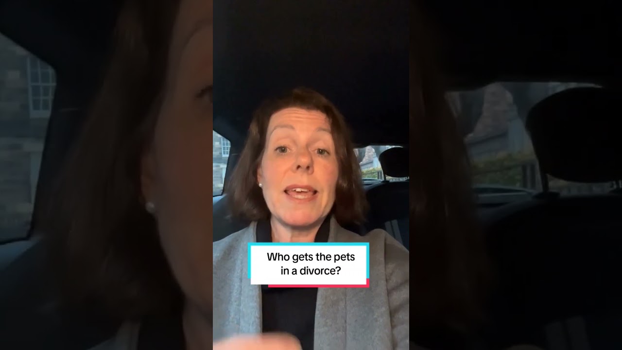 Who gets the pets in a divorce