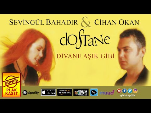 Sevingül BAHADIR & Cihan OKAN - Divane Aşık Gibi (Official Audio)