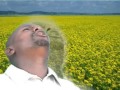 Thendi Mirongo Itatu