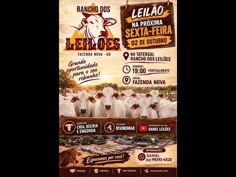 FAZENDA NOVA - GO   02/10/2026