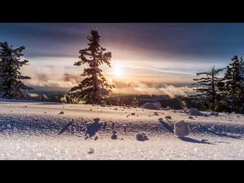 Life Stream - Ebony & Ivory