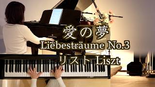 Download lagu 【💐愛の夢 ペダル入り Liebesträume No.3 /リスト 】F.Liszt mp3 Download lagu 【💐愛の夢 ペダル入り Liebesträume No.3 /リスト 】F.Liszt mp3