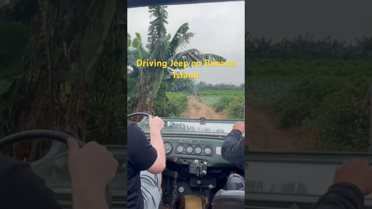 YouTube Short thumbnail