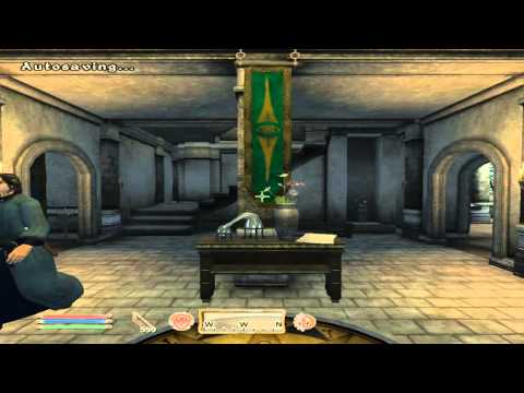 [Let's Play] Elder Scrolls IV - Oblivion part 39 - Mages Guild begins!