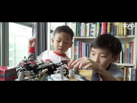 NDP 2017: Dynamic Defence Display