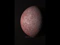 விண்வெளி இப்படி எல்லாமா இருக்கு Space Tamil 