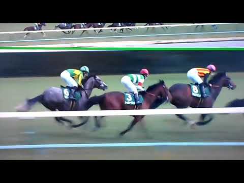 2020 きさらぎ賞（Ｇ3）まさかの波乱