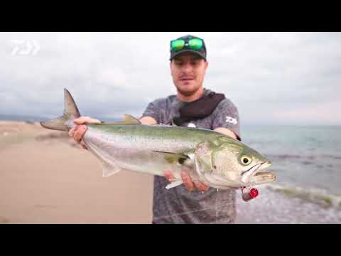 Mulineta Daiwa 23 Ninja LT 4000CP 