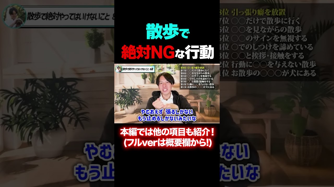 【犬の散歩】絶対にNGな行動は....