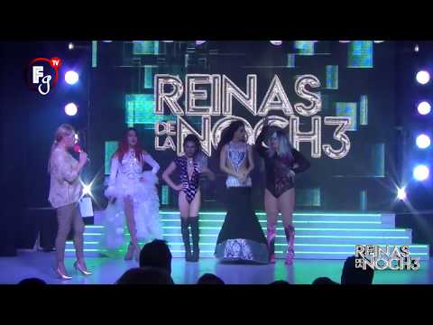 REINAS DE LA NOCHE 3 / SEMANA 15 - CANAL FARANDULA GAY