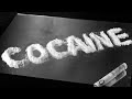 10 Things You Didn't Know About Cocaine 