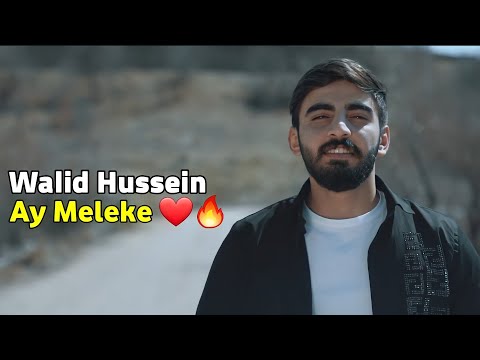 Walid Hussein - Ay Meleke ❤🔥