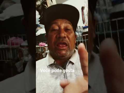 titulo#  local#santa  #inez ma