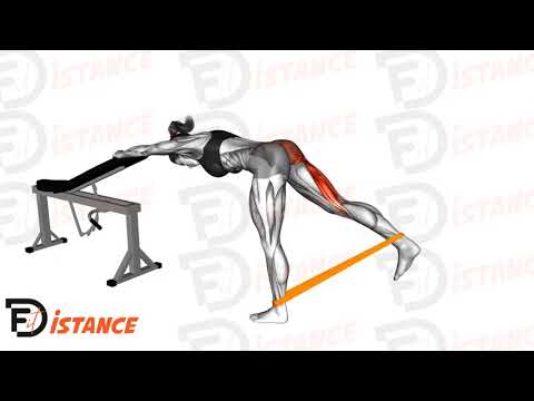 Exercice Kickback unilatéral avec élastique