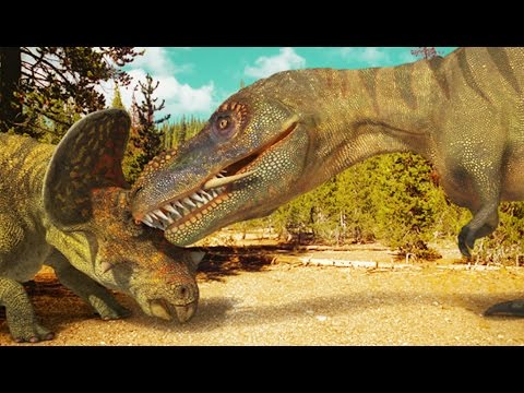 Combat entre un tyrannosaure et un tricératops !