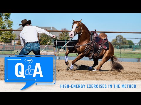 Q&A With Clinton Anderson: Will Groundwork Exercises Make My Pleasure Horses Go Too Fast