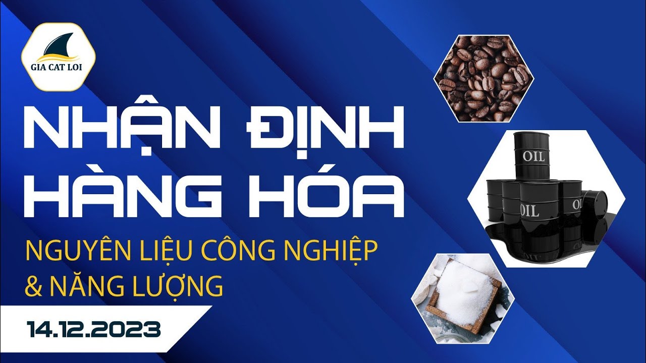 Nhận Định Hàng Hoá Năng Lượng & Nguyên Liệu Công Nghiệp 14/12/2023
