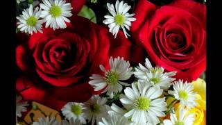 Vangelis *** Messages = Un tributo para estas hermosas flores.