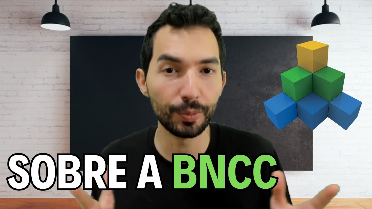 My opinion on the BNCC