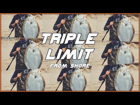 Triple Fluke Limit from Shore - Red Hot Flounder Fishing