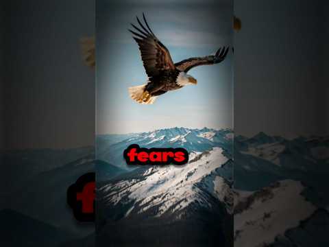 #fly like Eddie🕊️ Overcomming Fear😱 #motivation #shorts