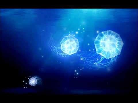 [Electro] Dimitri Vegas & Like Mike Ft. Wolfpack - Ocarina (Bumer! Remix)