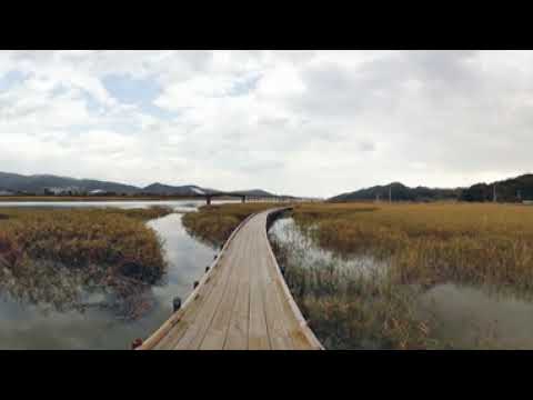 보성만 / 벌교 (VR)