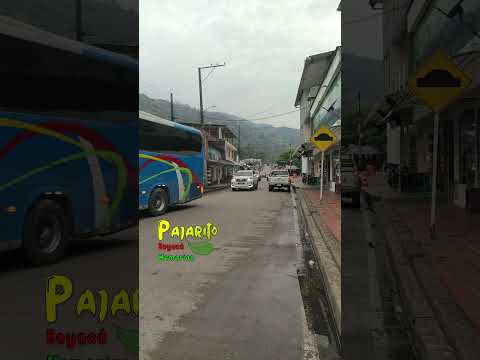 Pajarito - Boyacá (6:16 a.m.) (Marzo 28/2026)