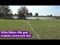 White Ribbon Mile gaat ondanks corona door