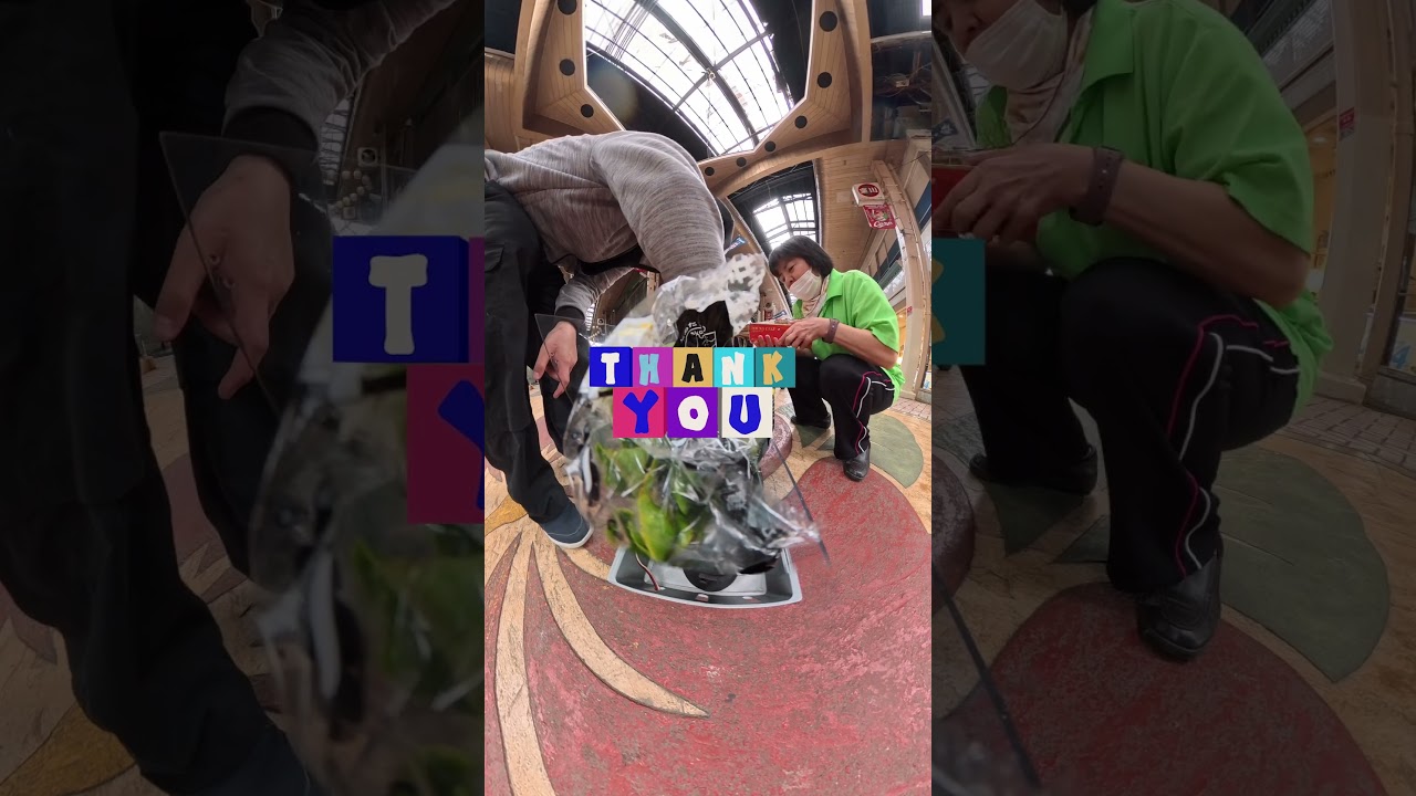 ラジコンだけで「サラダ菜🥬」買いに行ける？【RC shopping】Buying "🥬🥬🥬" with RC CAR🚗