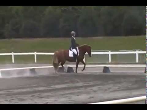 Helene Renard showing Top Hat Lady's Choice