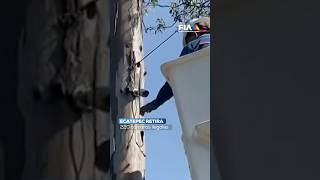 Video thumbnail image