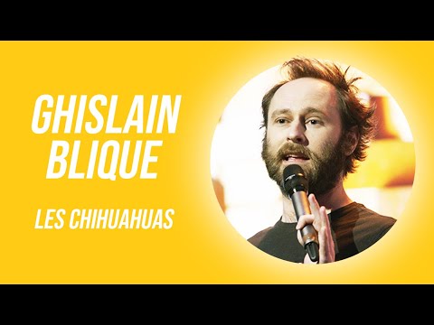 GHISLAIN BLIQUE - LES CHIHUAHUAS
