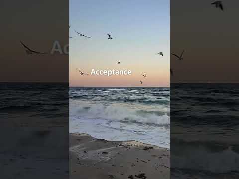 Expectation vs Acceptance #shorts #ytshorts #motivation #behappy